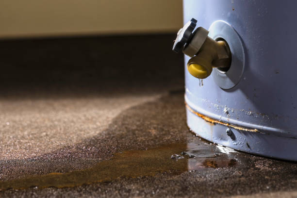 Fruitville, FL Water damage restoration Company