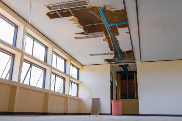 Best Residential water damage restoration  in Fruitville, FL
