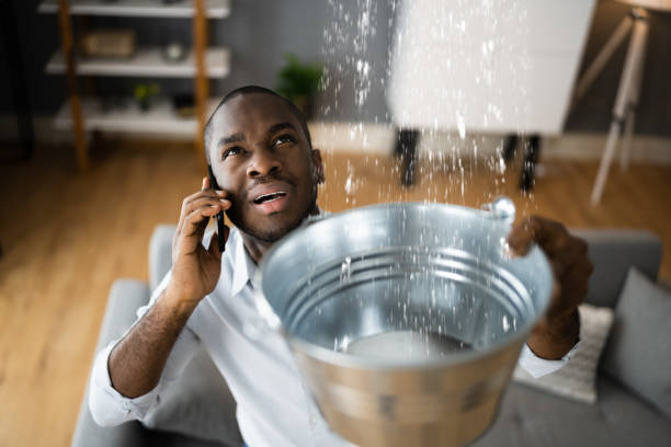 Local water damage restoration in Fruitville, FL