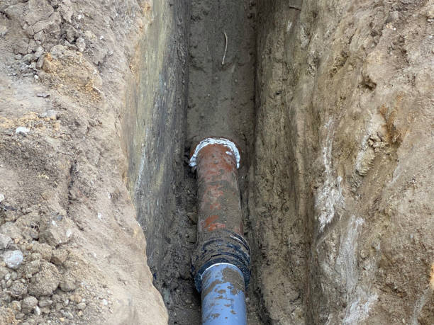 Best Flood restoration services  in Fruitville, FL
