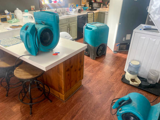 Best Water damage cleanup near me  in Fruitville, FL