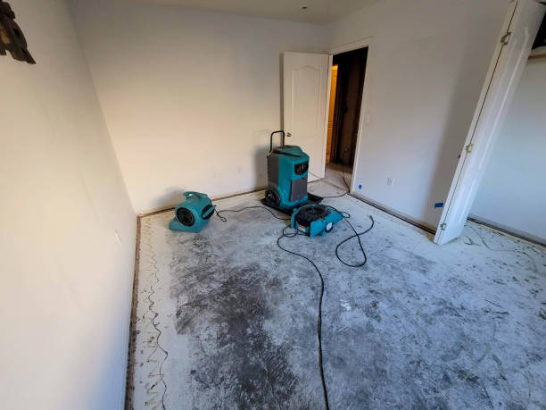 Best Flood damage cleanup  in Fruitville, FL