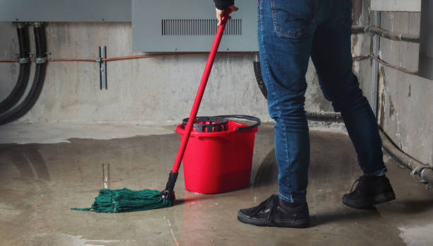 Best Ceiling water damage repair  in Fruitville, FL
