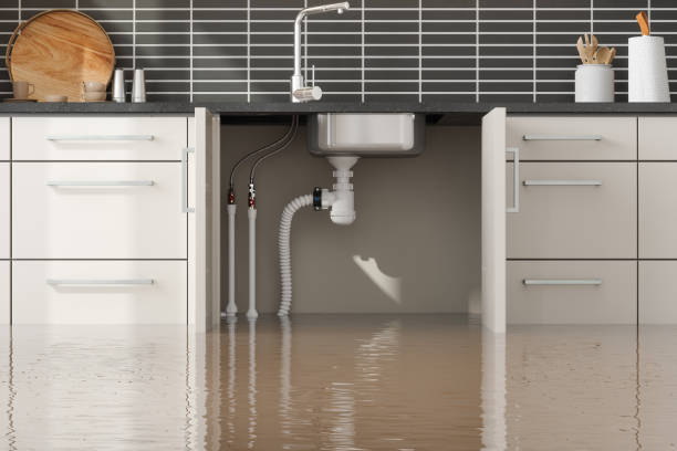 Best Water damage restoration near me  in Fruitville, FL