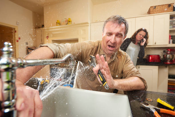Best Local water damage restoration  in Fruitville, FL